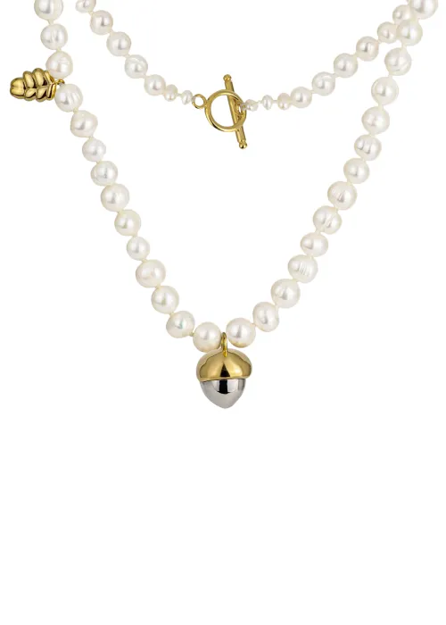 Silver Necklace with acorn