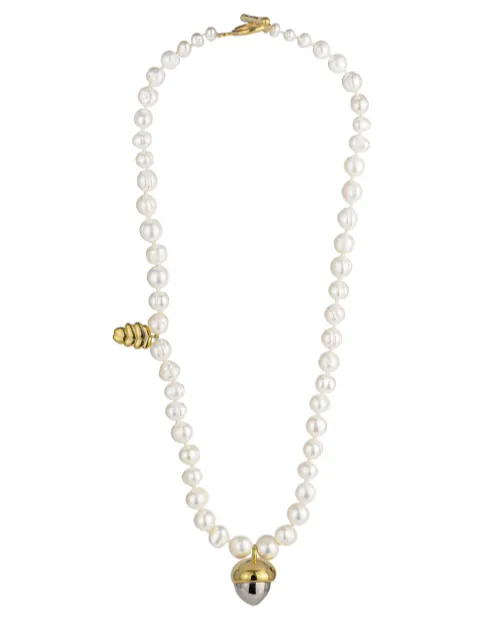 Silver Necklace with acorn